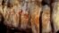 Neanderthal paintings can be seen in a cave in Pasiega, Spain in this photo obtained Feb. 22, 2018. University of Southampton. 