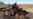 Traumatic War Encounters Haunting Former Zimbabwe Freedom Fighters