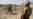 Afghanistan: Pakistan's Anti-Haqqani Offensive Ineffective