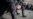 US Condemns Russia's Arrest of Opposition Leader, Hundreds of Protesters