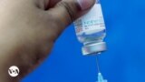 COVID-19: Pesquisadores de Faculdade de Baylor desenvolveram nova vacina