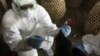 Indonesia Identifies New Strain of Bird Flu
