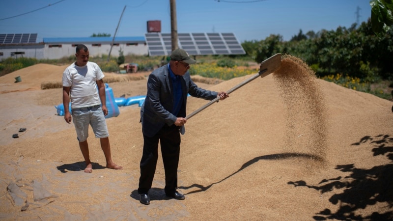 Climate change imperils drought-stricken Morocco's cereal farmers, food supply