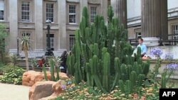 Izložba južnoafričkog pejsaža u Britanskom muzeju u Londonu