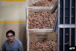 An worker  passes by baskets afloat  of corks astatine  the Amorim cork mill  successful  Mozelos, adjacent   Santa Maria da Feira, northbound  of Portugal connected  Sept.10, 2024.