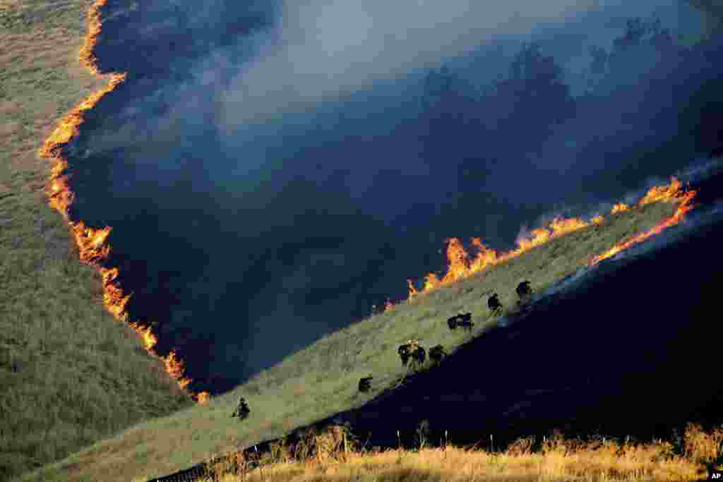 Firefighters battle the Marsh Fire near the town of Brentwood in Contra Costa County, California, Aug. 3, 2019.