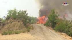 Թուրքիայի հարավում ուժեղ անտառային հրդեհներ են. կան զոհեր