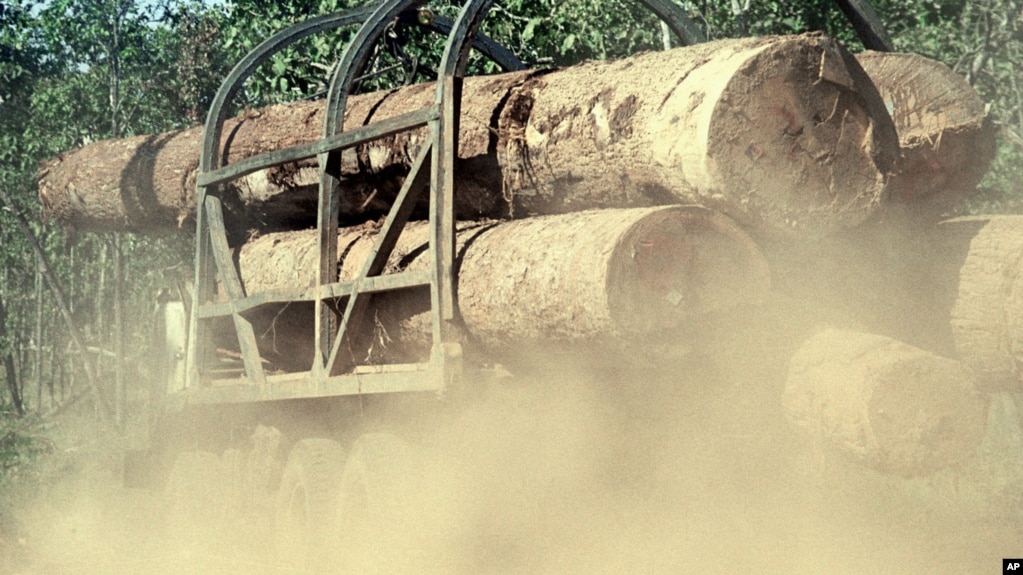 FILE - In this July 2002 file photo, dust flows from under the truck loaded with logs as it makes its way on a rural road in Preah Vihear province, north of Phnom Penh, Cambodia. An environmental watchdog has accused Vietnamese government and military officials of taking payoffs to ignore vast smuggling of lucrative lumber from neighboring Cambodia. 