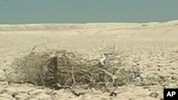 Photo d’archives - Le changement climatique va entraîner des sécheresses plus aigües en Afrique, selon les experts de l’ONU