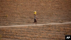 (FILE) A woman walks along a path in a deserted field in Zimbabwe.