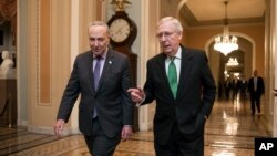 参议院共和党多数党领袖麦康奈尔（右）和参议院民主党少数党领袖舒默