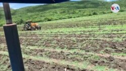Campo venezolano retrocede por escasez de combustible (Afiliadas)