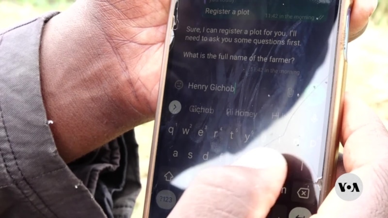 AI app helps Kenyan farmers optimize crop yields