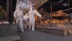 Պատվաստանյութերի հասանելիությունն ու դժվարությունները