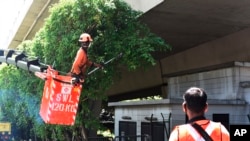 A team of migrant workers from India trim the trees along Holland Road in Singapore on Sunday, Apr. 19, 2020. The number of new coronavirus cases in the city state has more than doubled over the past week amid an explosion of infections in crowded…