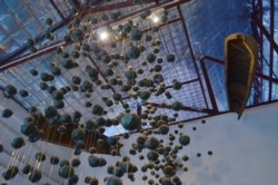 Recovered cluster bombs hang from the ceiling in an installation at the COPE Visitor Center in Vientiane, Laos, Nov. 7, 2019. (Zsombor Peter/VOA)