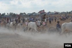 Activities during oxcart race in Rorleng Krel commune, Samrong Torng district, Kampong Speu province on April 07th, 2019. (Nem Sopheakpanha/VOA)