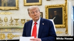 د امریکا ولسمشر ډونالد ټرمپ