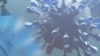 眾議院外交委員會少數黨有關新冠病毒起源和武漢病毒所的調查報告封面(局部)