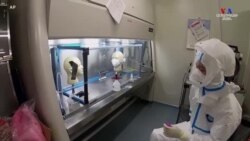 Հետազոտողները հաստատել են, որ դիմակները պաշտպանում են կորոնավիրուսի մասնիկներից, սակայն դրանց արդյունավետությունը զգալիորեն տատանվում է