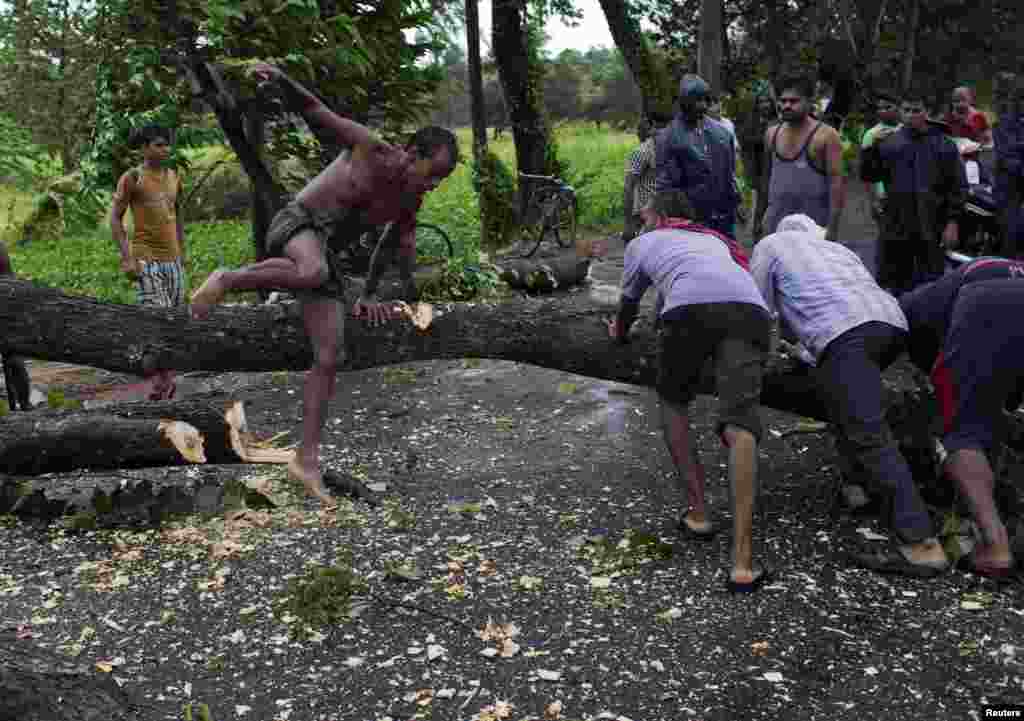 Men try to remove fallen trees from a road due to the rain and wind in the eastern Indian state of Odisha, Oct. 12, 2013.