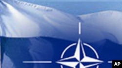 Клинтон повика на поблиска соработка меѓу Русија и НАТО