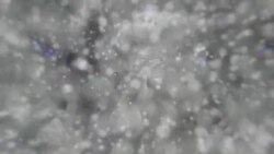 بي بي شیرینه: په ټیلې ویژن