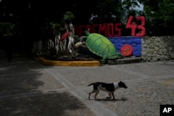 FILE - The entrance of the Raúl Isidro Burgos Rural Normal School features a turtle and the words 'We want the 43,' referring to the students who went missing 10 years ago, in Ayotzinapa, Guerrero state, Mexico, Aug. 19, 2024.