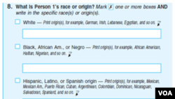 미국 인구조사에서 인종을 묻는 문항. (자료사진)