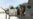 Pilot Perempuan Afghanistan Tunggu Respon Suaka dari AS
