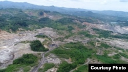 Kerusakan hutan yang didokumentasikan oleh Walhi Bengkulu. (Foto courtesy: Walhi Bengkulu).