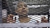 مصر: قید صحافی مصری شہریت سے دستبردار، رہائی کا امکان