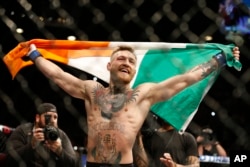 종합이종격투기(UFC) 코너 맥그리거 선수가 미국 라스베이거스에서 경기를 마친 후 아일랜드 국기를 날리고 있다.