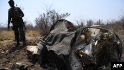 Un membre de l'armée botswanaise fait une pause près de la carcasse d'un éléphant mort à Chobe, le 19 septembre 2018.