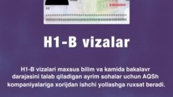 H1-B vizalari