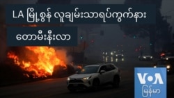 LA မြို့စွန် လူချမ်းသာရပ်ကွက်နား တောမီးနီးလာ