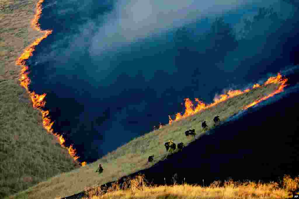 Firefighters battle the Marsh Fire near the town of Brentwood in Contra Costa County, California, Aug. 3, 2019.