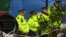 On Election Eve, Britain Debates Security Fears and Failures