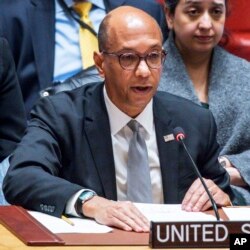 FILE—Robert Wood, deputy permanent representative of the United States, to the United Nations speaks to delegates during a security council meeting at the United Nations Headquarters, January 22, 2024.