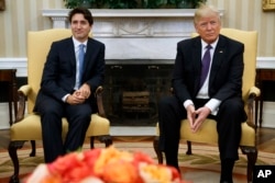 U.S. President Donald Trump (R) meets with Canadian Prime Minister Justin Trudeau in the Oval Office of the White House in Washington, Feb. 13, 2017.