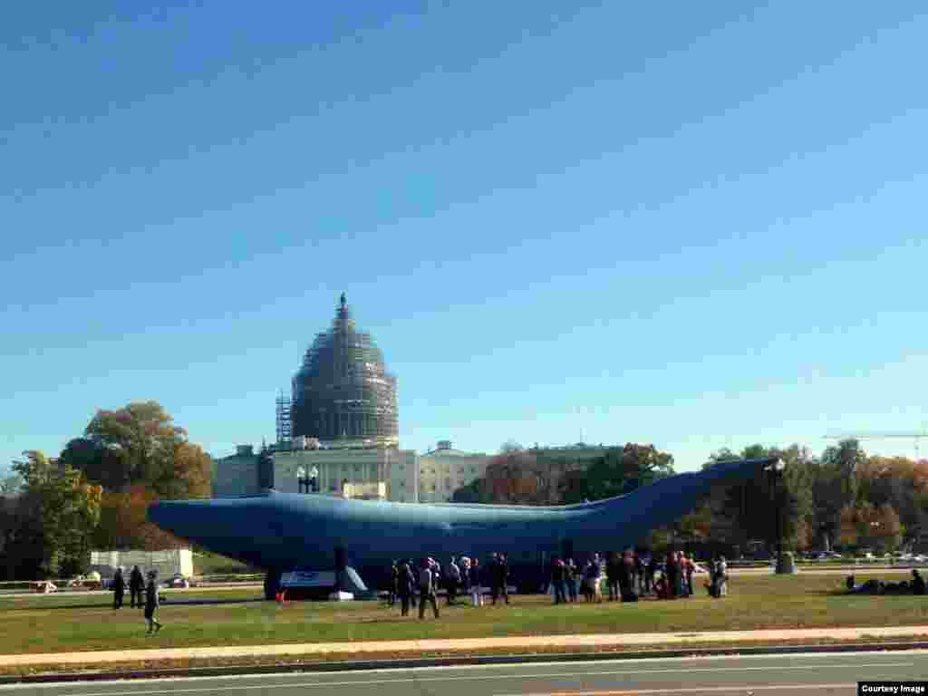 A group of environmentalists and Congressmen from California, Florida, South Carolina and other states stand next to a 90-foot life-size blue whale next to Capitol Hill in Washington, D.C., to launch #SeaParty2016 campaign to oppose offshore oil drilling. (Photo taken by Diaa Bekheet)