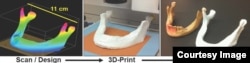 Properly scaled, anatomically correct parts, such as a human mandible can be designed, 3-D-printed and washed to rapidly produce a ready-to-implant object. Final image shows 3-D-printed mandible next to an adult cadaveric human mandible. (Credit: Adam E. Jakus, et al., Science Translational Medicine, 2016)