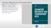 미국 국무부는 30일 웹사이트에 ‘2012 테러보고서’를 공개했다. 북한은 5년째 테러지원국 명단에서 제외됐다.