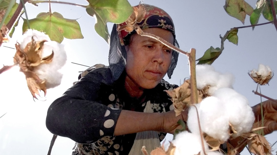 Uyda yakkaxon jinsiy onanizm