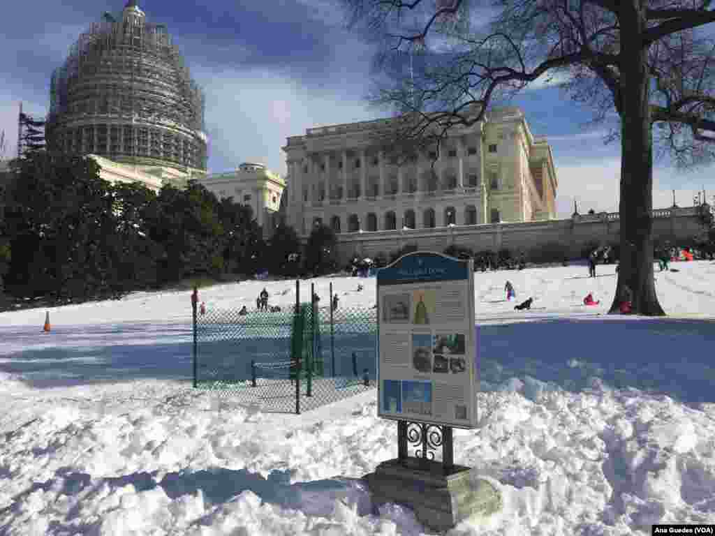 Entrada do Capitólio / Congresso americano onde muitos trausentes têm feito slide na neve 