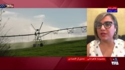 سازوکار فروش غلات و حبوبات آمریکایی به ایران با استفاده از پول‌های مسدودشده جمهوری اسلامی
