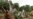Late-season Hurricane Takes Aim at Central America