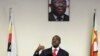 Zimbabwe Opposition Leader Names Interim Party Leader