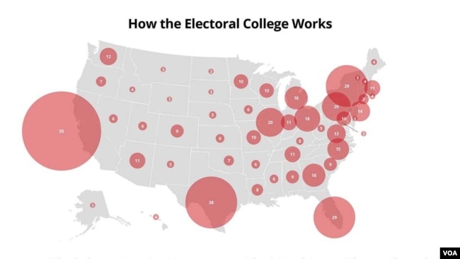 The U.S. Electoral College