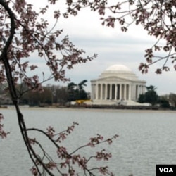 Jefferson Memorial, monumen untuk memperingati Presiden ketiga AS, Thomas Jefferson, adalah salah satu monumen yang ada di kompleks Tidal Basin.